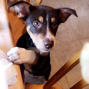 Meet your Posher, Katie